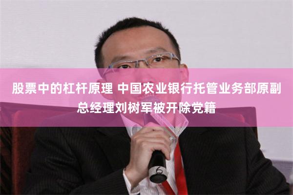 股票中的杠杆原理 中国农业银行托管业务部原副总经理刘树军被开除党籍