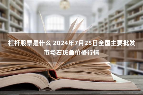 杠杆股票是什么 2024年7月25日全国主要批发市场石斑鱼价格行情