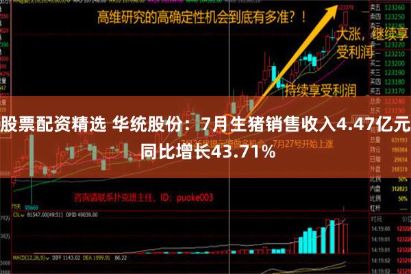 股票配资精选 华统股份：7月生猪销售收入4.47亿元 同比增长43.71%