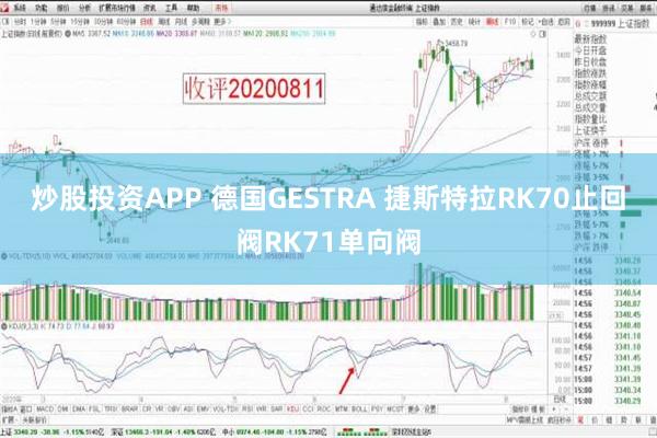 炒股投资APP 德国GESTRA 捷斯特拉RK70止回阀RK71单向阀